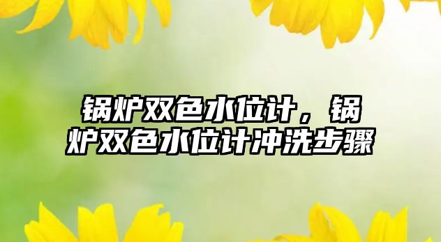 鍋爐雙色水位計(jì)，鍋爐雙色水位計(jì)沖洗步驟