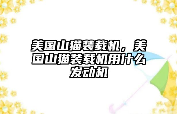 美國(guó)山貓裝載機(jī)，美國(guó)山貓裝載機(jī)用什么發(fā)動(dòng)機(jī)