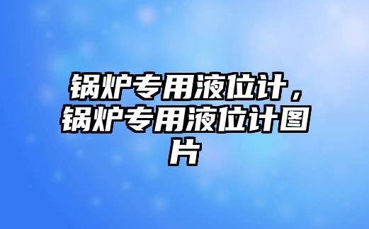 鍋爐專用液位計，鍋爐專用液位計圖片