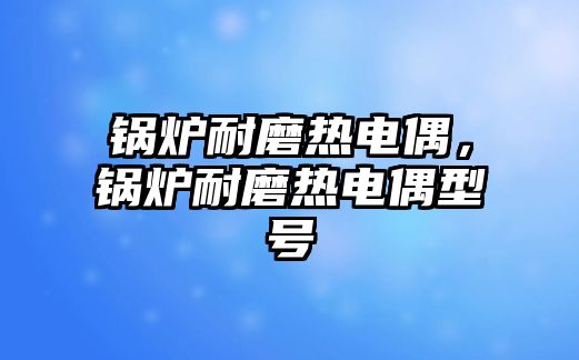 鍋爐耐磨熱電偶，鍋爐耐磨熱電偶型號