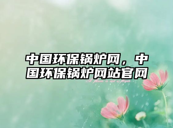 中國環保鍋爐網，中國環保鍋爐網站官網