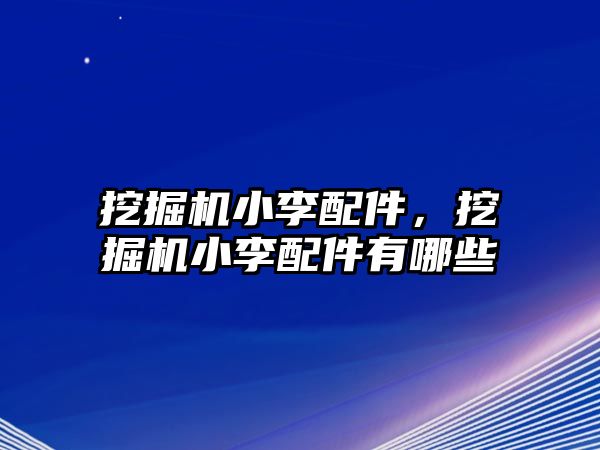 挖掘機小李配件，挖掘機小李配件有哪些