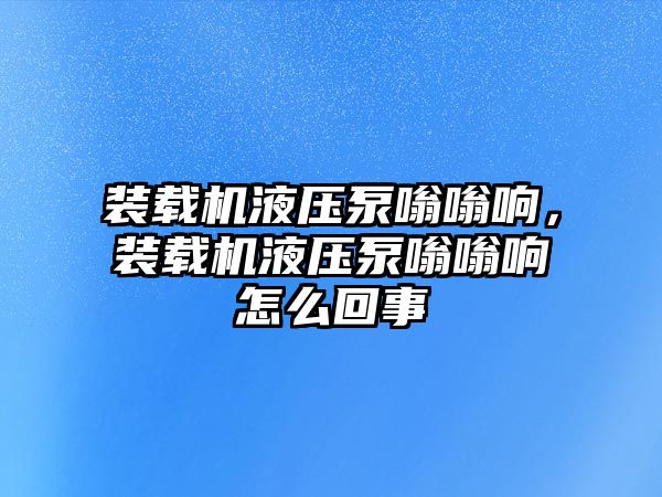 裝載機液壓泵嗡嗡響，裝載機液壓泵嗡嗡響怎么回事