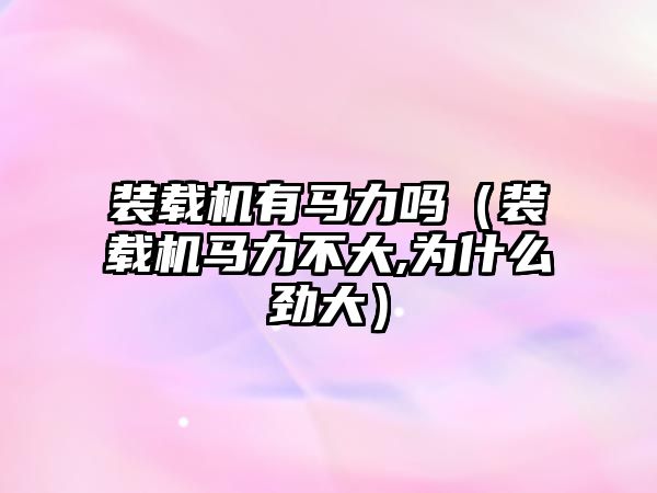 裝載機有馬力嗎（裝載機馬力不大,為什么勁大）