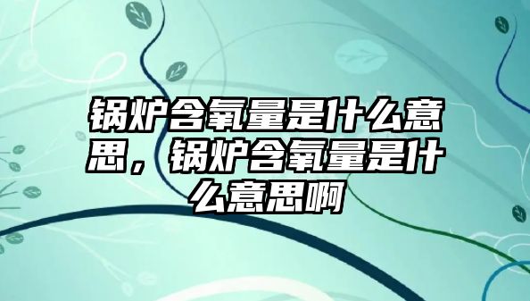 鍋爐含氧量是什么意思，鍋爐含氧量是什么意思啊