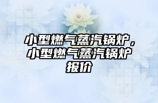 小型燃氣蒸汽鍋爐，小型燃氣蒸汽鍋爐報價