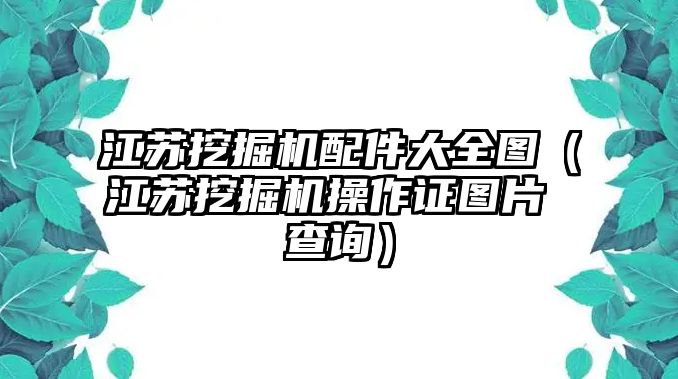 江蘇挖掘機(jī)配件大全圖（江蘇挖掘機(jī)操作證圖片 查詢）