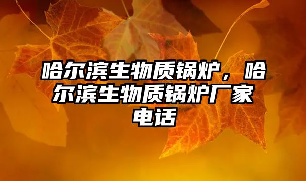 哈爾濱生物質鍋爐，哈爾濱生物質鍋爐廠家電話