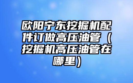 歐陽寧東挖掘機配件訂做高壓油管（挖掘機高壓油管在哪里）