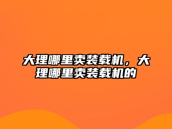 大理哪里賣裝載機，大理哪里賣裝載機的