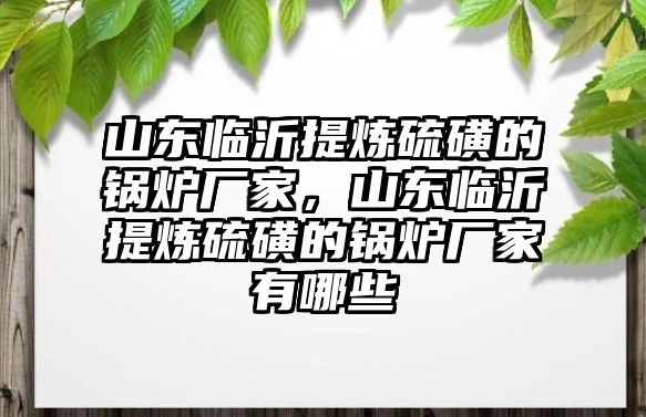 山東臨沂提煉硫磺的鍋爐廠家，山東臨沂提煉硫磺的鍋爐廠家有哪些