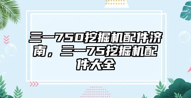 三一750挖掘機配件濟南，三一75挖掘機配件大全