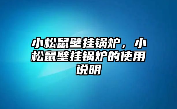 小松鼠壁掛鍋爐，小松鼠壁掛鍋爐的使用說(shuō)明