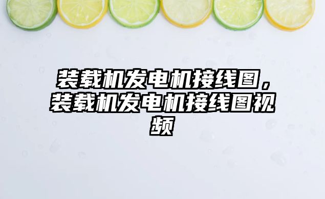 裝載機發電機接線圖，裝載機發電機接線圖視頻