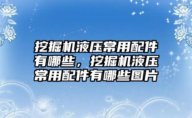 挖掘機液壓常用配件有哪些，挖掘機液壓常用配件有哪些圖片