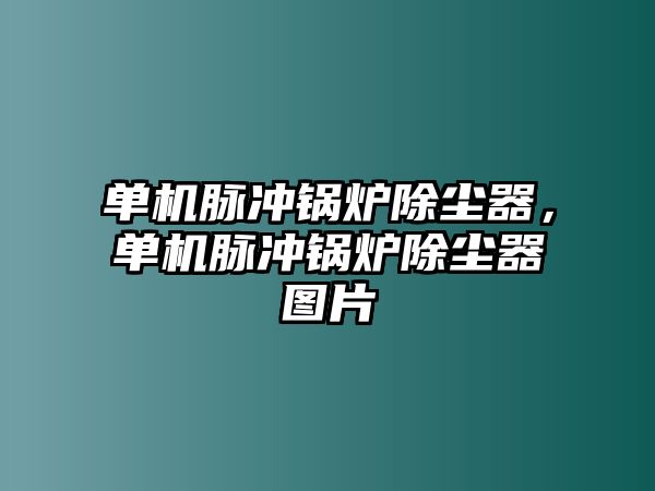 單機脈沖鍋爐除塵器，單機脈沖鍋爐除塵器圖片