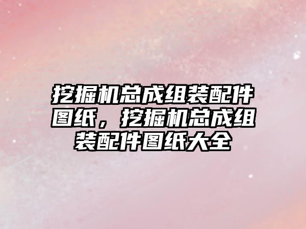 挖掘機總成組裝配件圖紙，挖掘機總成組裝配件圖紙大全