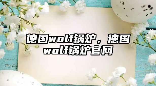 德國wolf鍋爐，德國wolf鍋爐官網