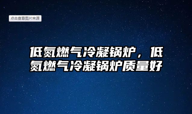 低氮燃氣冷凝鍋爐，低氮燃氣冷凝鍋爐質量好