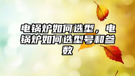 電鍋爐如何選型，電鍋爐如何選型號和參數