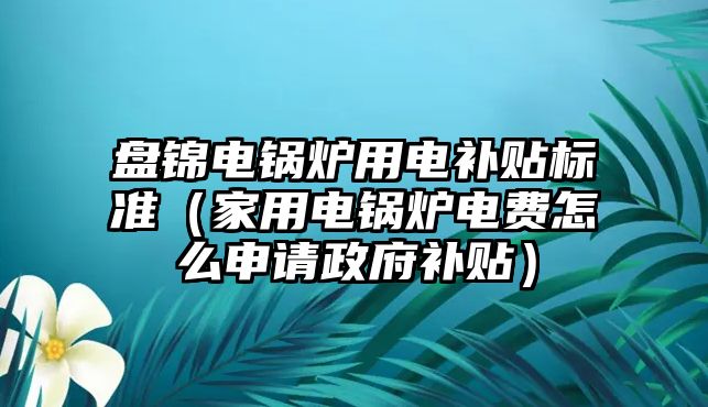 盤錦電鍋爐用電補(bǔ)貼標(biāo)準(zhǔn)（家用電鍋爐電費怎么申請政府補(bǔ)貼）