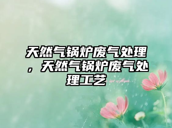 天然氣鍋爐廢氣處理，天然氣鍋爐廢氣處理工藝