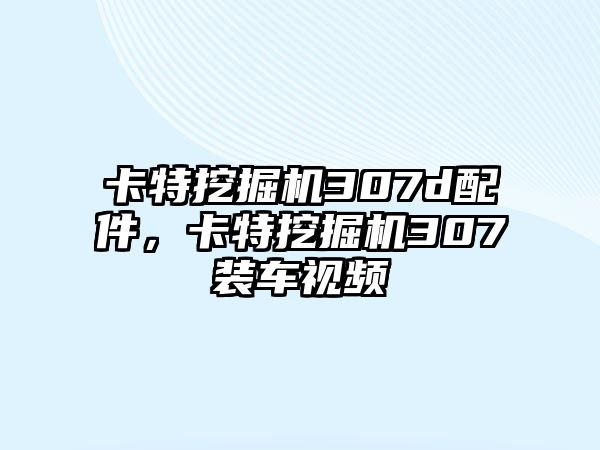 卡特挖掘機307d配件，卡特挖掘機307裝車視頻