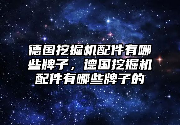 德國(guó)挖掘機(jī)配件有哪些牌子，德國(guó)挖掘機(jī)配件有哪些牌子的