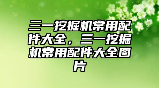 三一挖掘機常用配件大全，三一挖掘機常用配件大全圖片