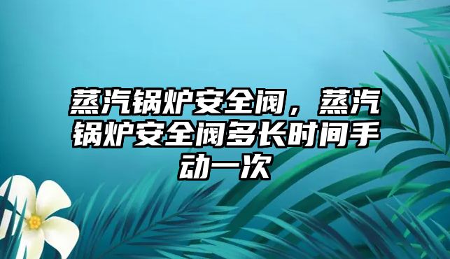 蒸汽鍋爐安全閥，蒸汽鍋爐安全閥多長時間手動一次