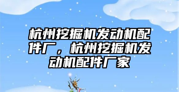 杭州挖掘機發動機配件廠，杭州挖掘機發動機配件廠家