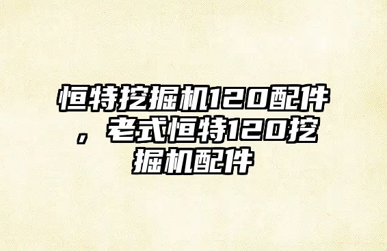 恒特挖掘機120配件，老式恒特120挖掘機配件