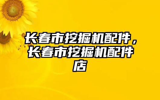 長春市挖掘機配件，長春市挖掘機配件店