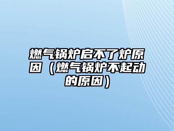 燃氣鍋爐啟不了爐原因（燃氣鍋爐不起動的原因）