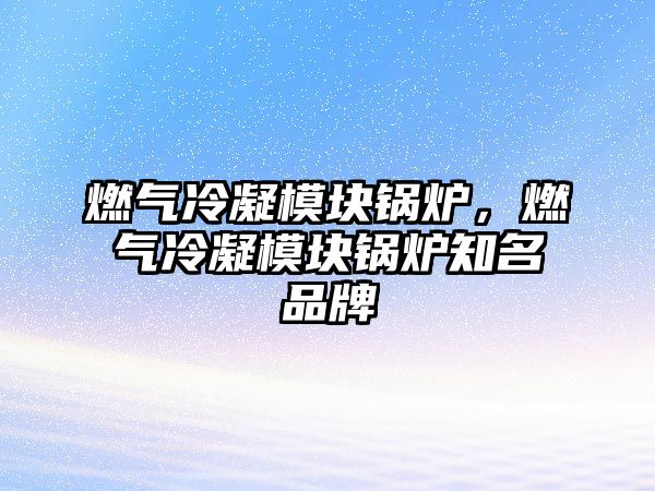 燃氣冷凝模塊鍋爐，燃氣冷凝模塊鍋爐知名品牌