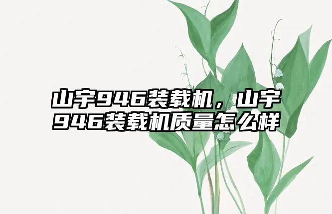 山宇946裝載機，山宇946裝載機質量怎么樣