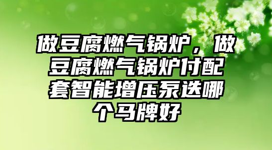 做豆腐燃氣鍋爐，做豆腐燃氣鍋爐付配套智能增壓泵迭哪個馬牌好