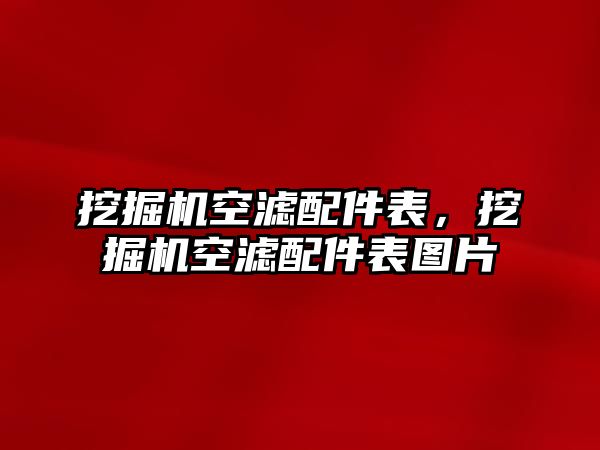 挖掘機空濾配件表，挖掘機空濾配件表圖片