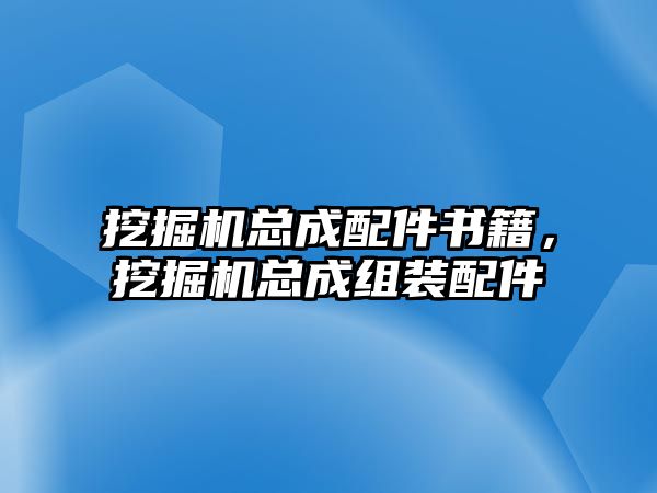 挖掘機總成配件書籍，挖掘機總成組裝配件