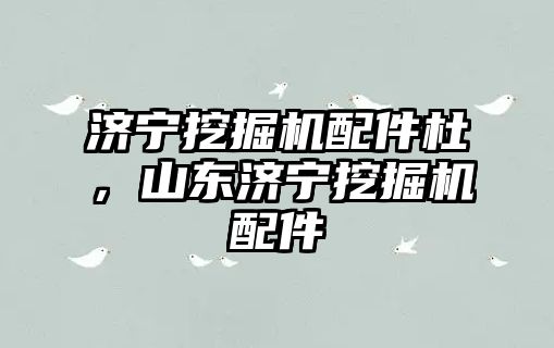 濟寧挖掘機配件杜，山東濟寧挖掘機配件