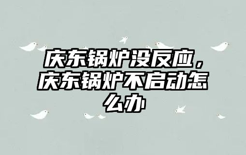 慶東鍋爐沒反應，慶東鍋爐不啟動怎么辦