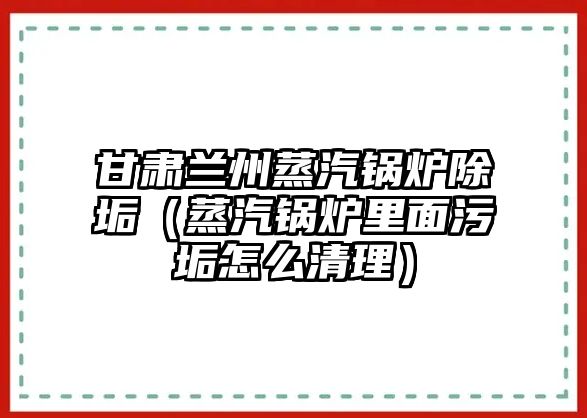 甘肅蘭州蒸汽鍋爐除垢（蒸汽鍋爐里面污垢怎么清理）