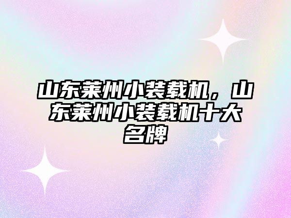 山東萊州小裝載機，山東萊州小裝載機十大名牌