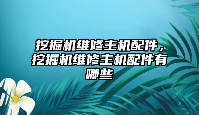 挖掘機維修主機配件，挖掘機維修主機配件有哪些