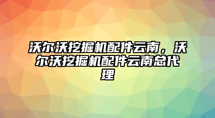 沃爾沃挖掘機配件云南，沃爾沃挖掘機配件云南總代理