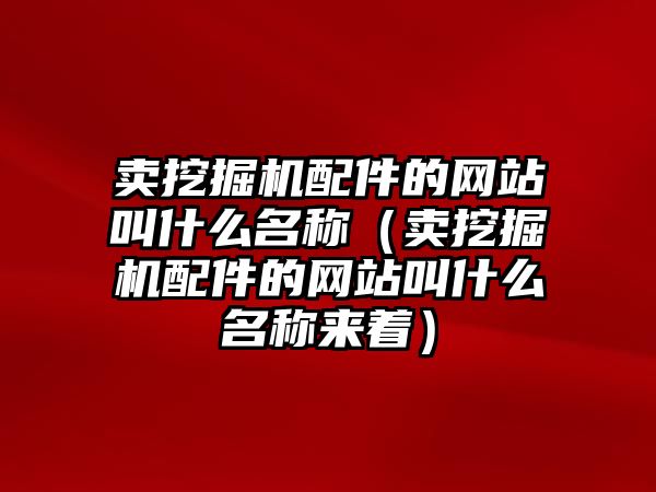 賣挖掘機配件的網站叫什么名稱（賣挖掘機配件的網站叫什么名稱來著）