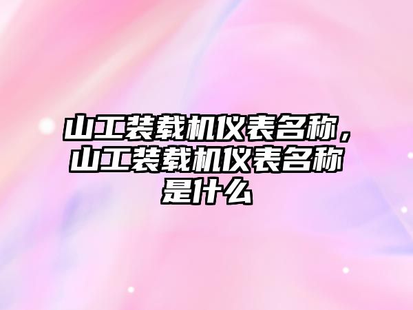 山工裝載機儀表名稱，山工裝載機儀表名稱是什么