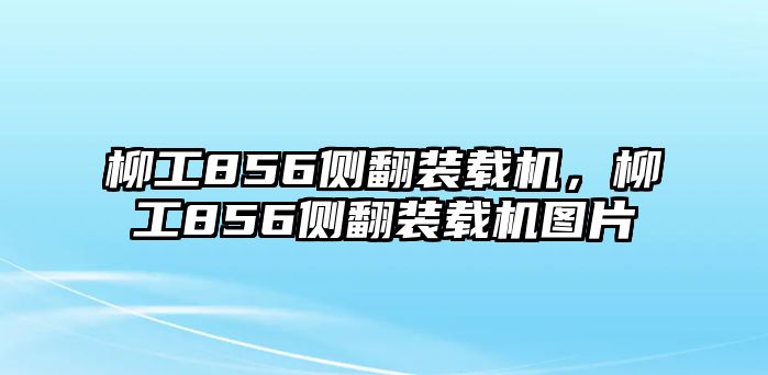 柳工856側翻裝載機，柳工856側翻裝載機圖片