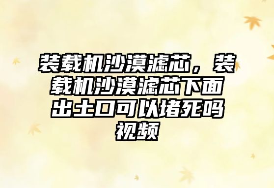 裝載機沙漠濾芯，裝載機沙漠濾芯下面出土口可以堵死嗎視頻