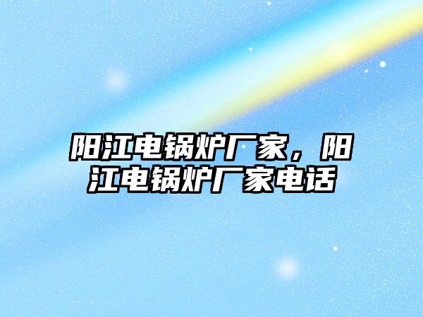 陽江電鍋爐廠家，陽江電鍋爐廠家電話